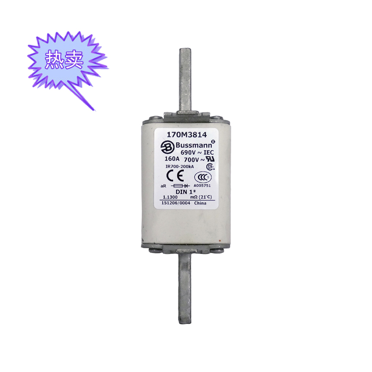 快速熔斷器170M3814（160A）