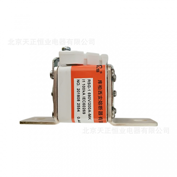 <b>庫柏西熔RSG系列快速熔斷器外形分類及訂購注意事項(xiàng)</b>